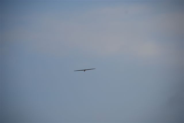 hotliner_de_hawk_20100422_1759776322.jpg