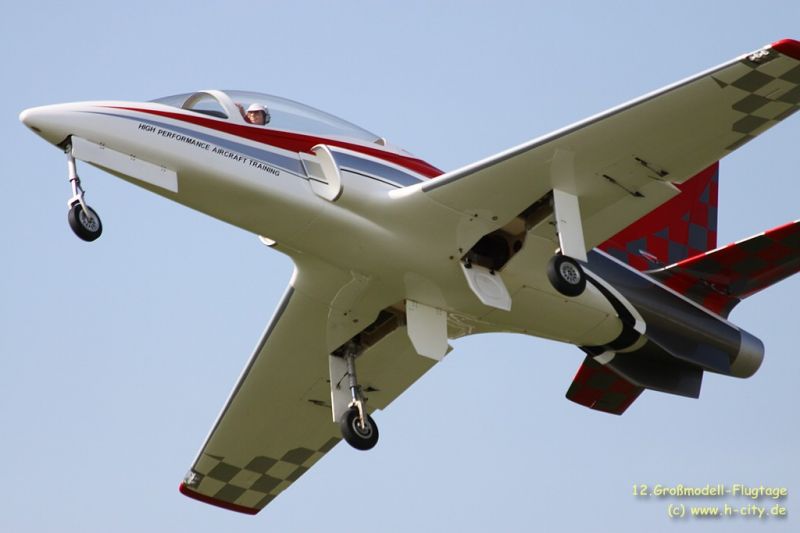 viper_lehrte_20100815_1531698541.jpg